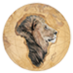 safaris2africa.com icon