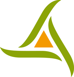 safer-aura.fr icon