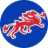 sagahibachisteakhouse.com icon