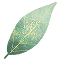 sagewebpros.com icon