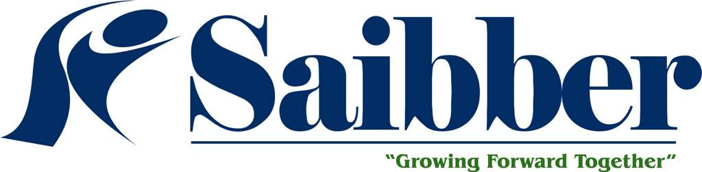 saibber108.com icon