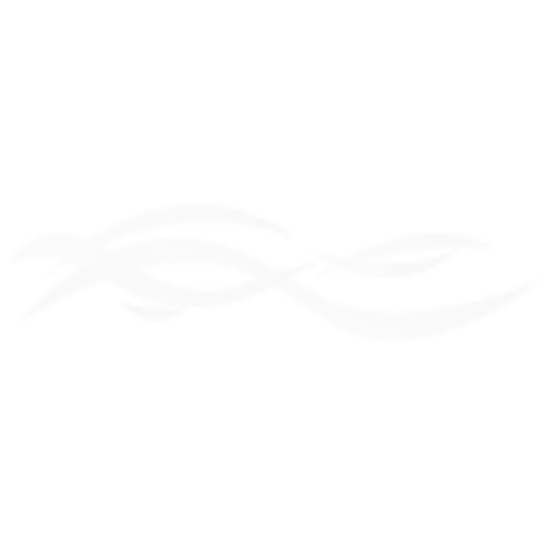 saifran.com icon