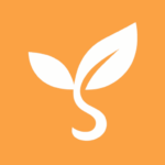 saikura.info icon