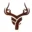 saintstag.com icon