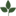salbasmart.com icon