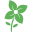 salisburygreenhouse.com icon