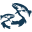 salmonconservation.ca icon