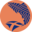 salmonscotland.co.uk icon