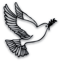 salom.com.tr logo