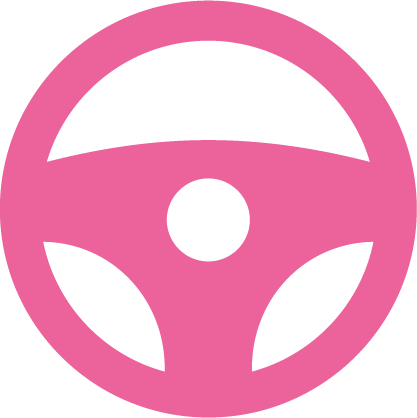 salon-automobile-lyon.com icon