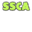 saloonstockcars.com icon