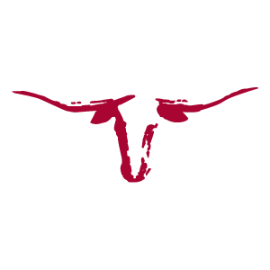 saltgrass.com logo