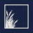 saltmarshdigital.com icon