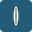 saltshackny.com icon