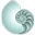 saltspringdesign.com icon