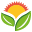 salviaparadise.cz icon