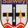 salwey-aktiv.de icon