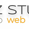 salzstudio.com icon