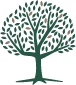 Samara Capital logo