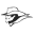 Sammy Baugh Golf Course logo