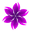 sanascans.com logo
