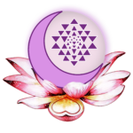 sanctuaryofthe13moonmysteryschool.com icon