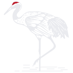 sandhillbuildersfl.com icon