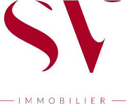 sandraviricel-immobilier.com icon