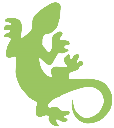 sandygecko.com icon