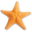 sanibelrealestateguide.com icon