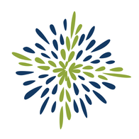 sansung.org logo