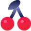 santarosa-familylaw.com icon