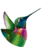 sanvicentefundacion.com icon