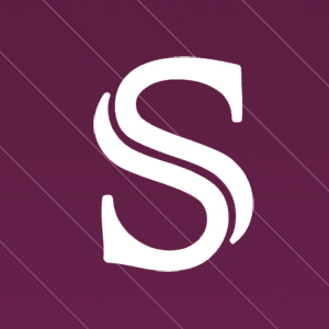 sapindex.es icon