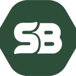 sarabendrick.com icon