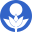 Domain Favicon