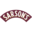 sarsons.co.uk icon