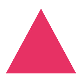 sas-sachsen.de icon