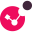 Checkpoint logo
