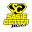 sasiecenter.com icon
