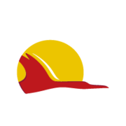 satena.com logo
