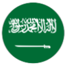 saudi-arabia-evisa.org icon