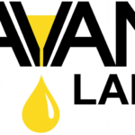 savantlab.com icon