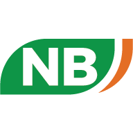 saveenergynb.ca icon