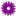 saveonscents.com icon