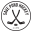 savepondhockey.org icon
