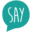 saydetroit.org icon