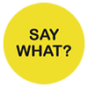saywhatwithfriends.com icon