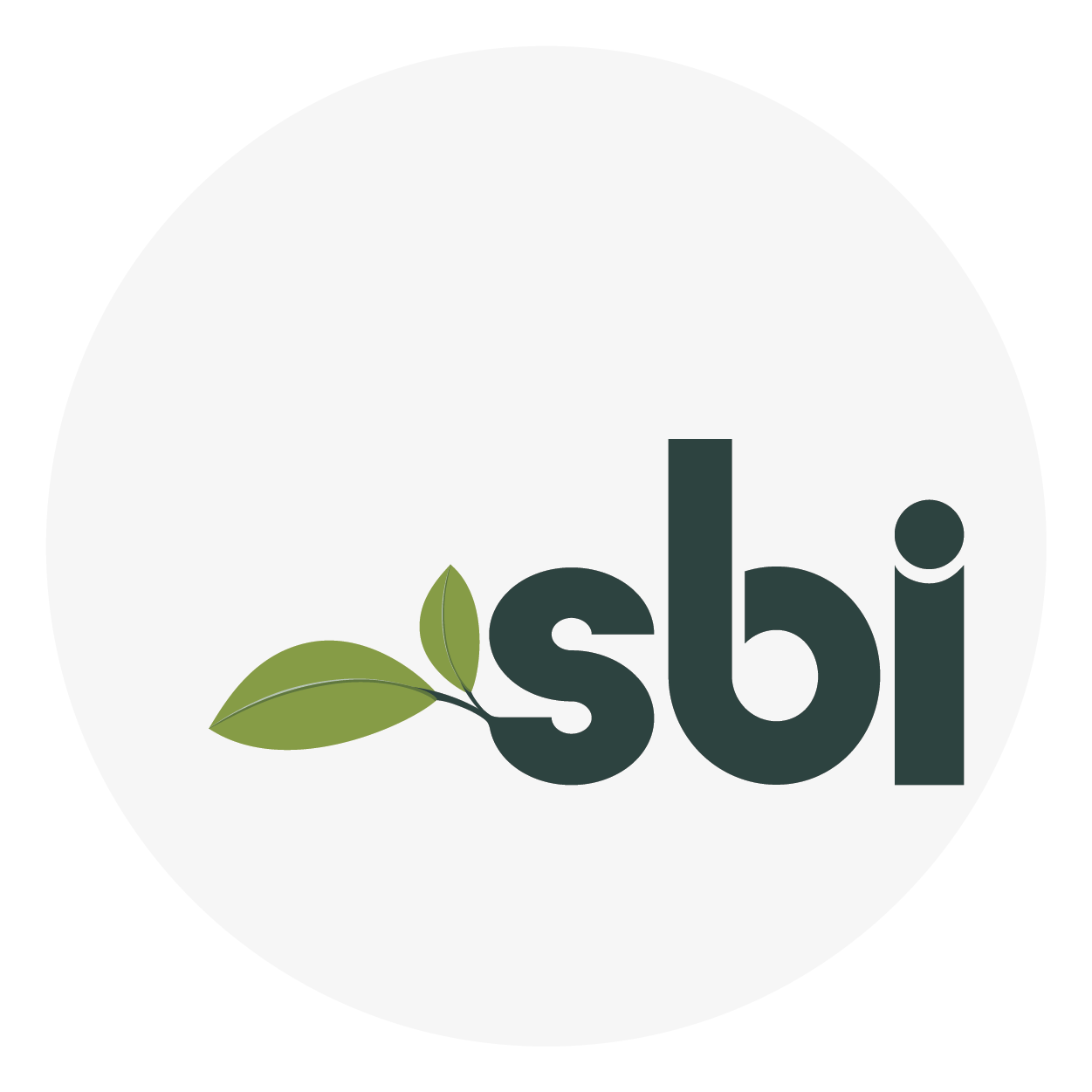 sbiteam.com icon