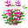 scapecrunch.com logo
